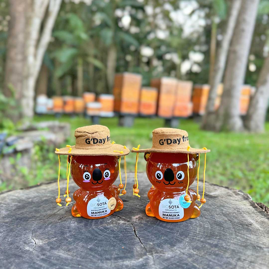 MGO 100+ Australian Manuka Honey Koala Bears | Cork Hat (250g)