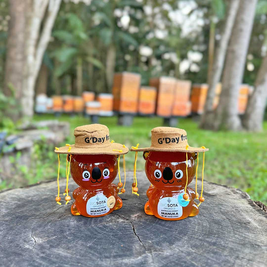MGO 100+ Australian Manuka Honey Koala Bears | Cork Hat (250g)