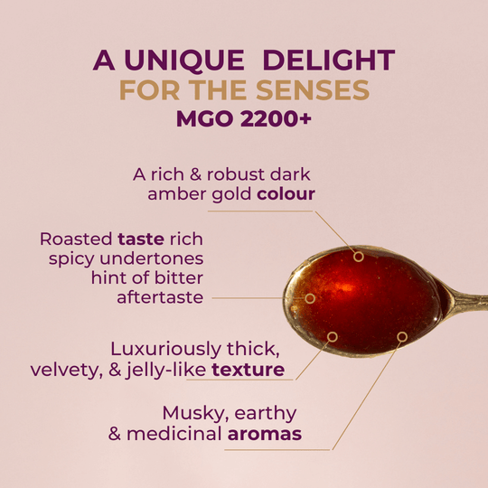 World's Highest Manuka Honey MGO 2200+