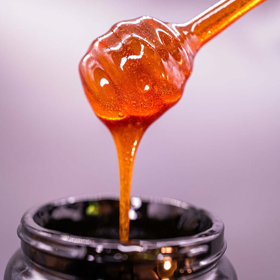 디퍼에서 병으로 떨어지는 Manuka 꿀