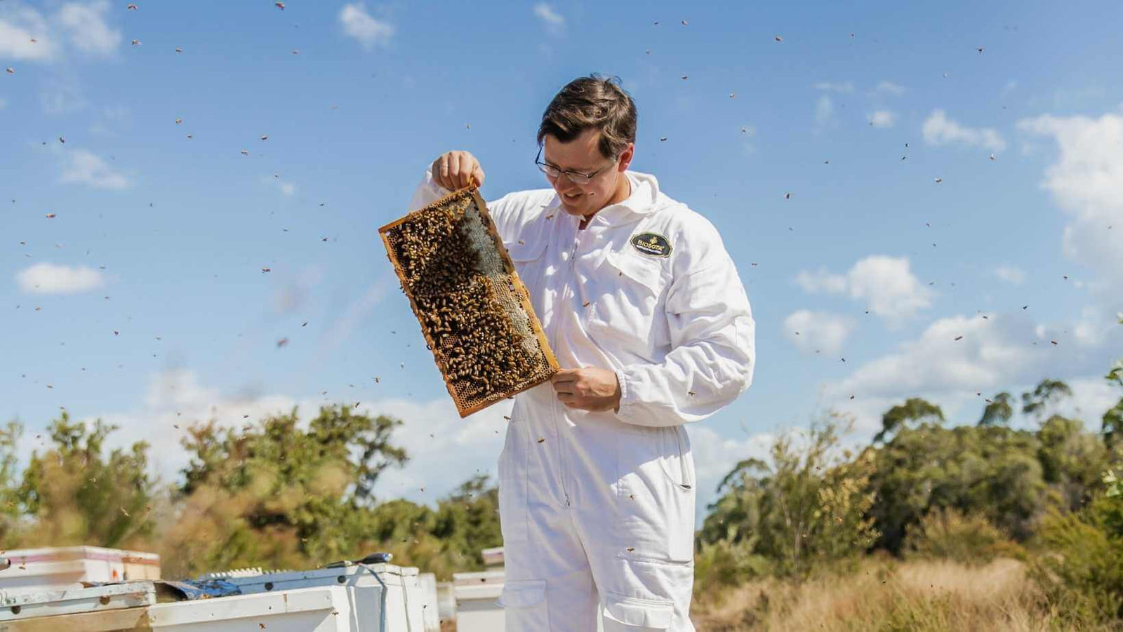 raw honey manuka honey