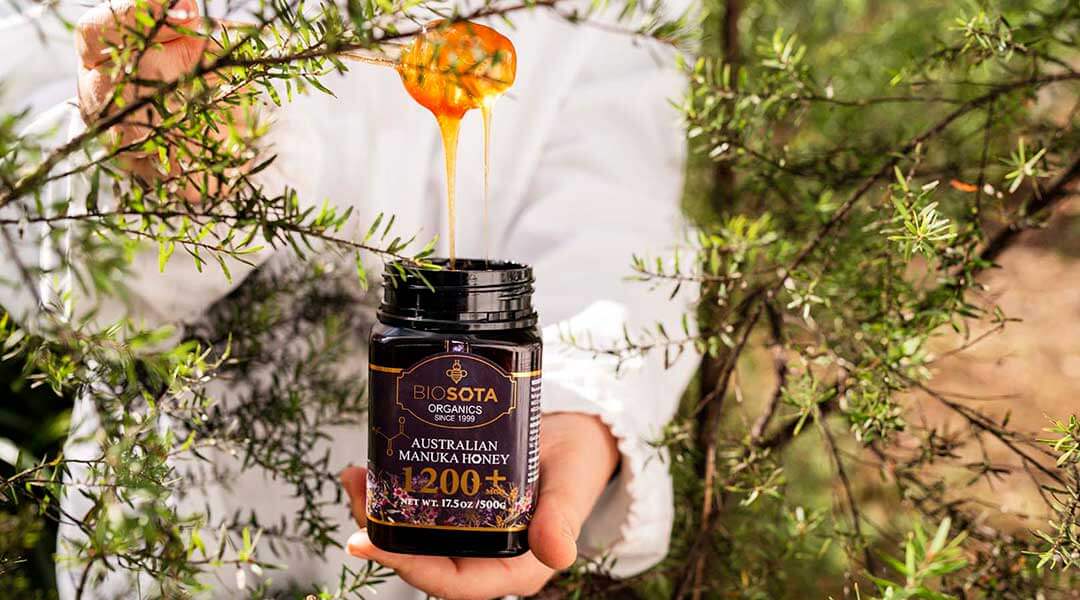 The Sugar-Cancer Myth and Manuka Honey: Evidence Over Fear