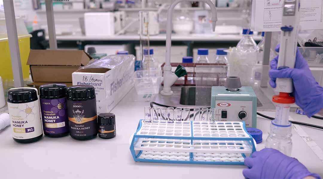 From hive to lab to jar: Australian Manuka honey