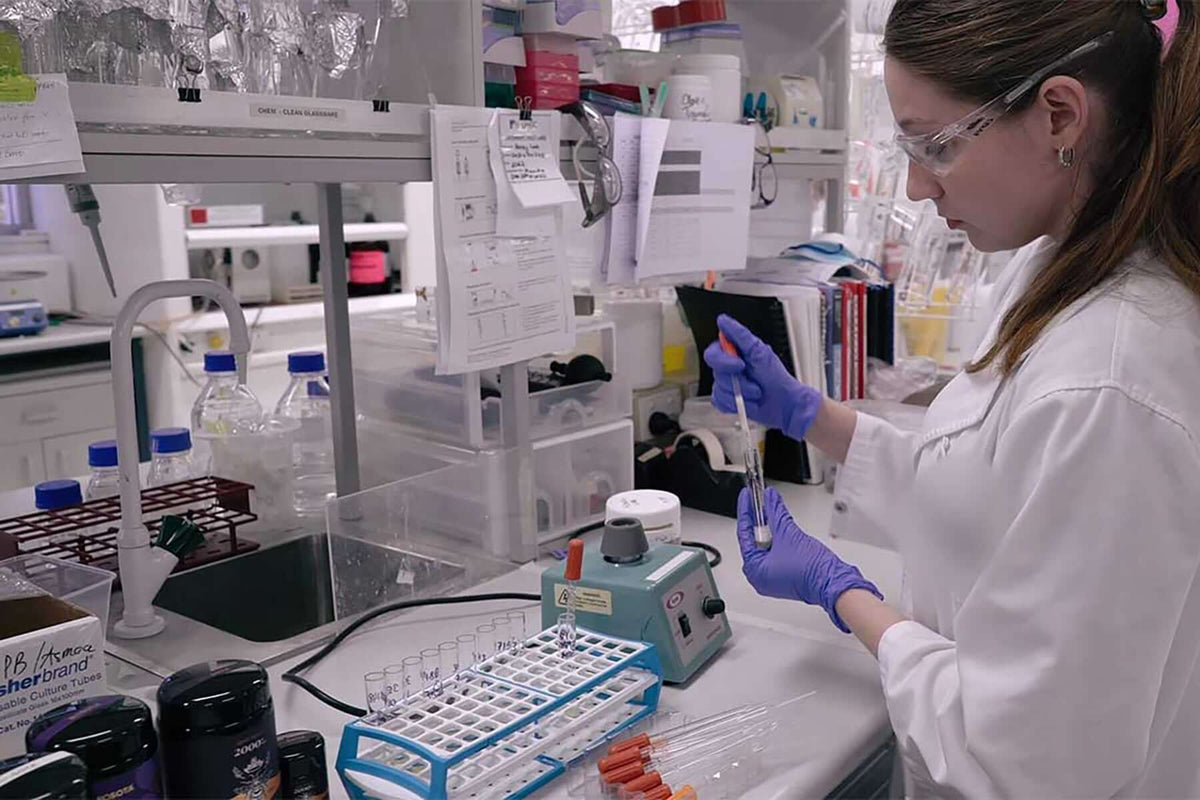 Authentic Australian Manuka honey lab testing for purity