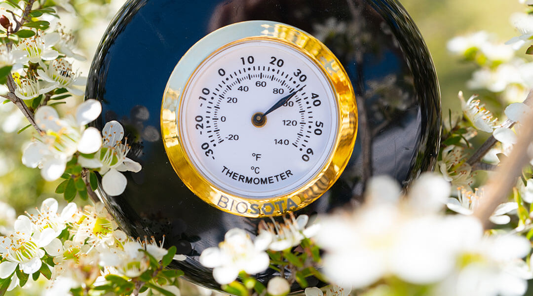 Miele di Manuka e calore: cosa succede davvero all’MGO quando lo riscaldi