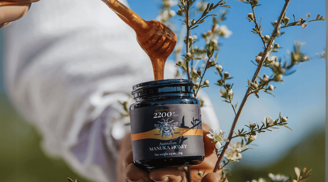 Wie Biosota den Manuka-Honig mit dem höchsten MGO-Gehalt der Welt produziert