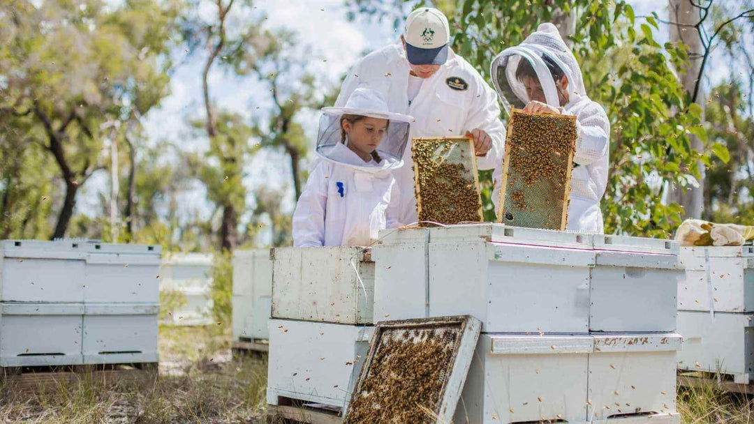 Why is Manuka honey expensive?