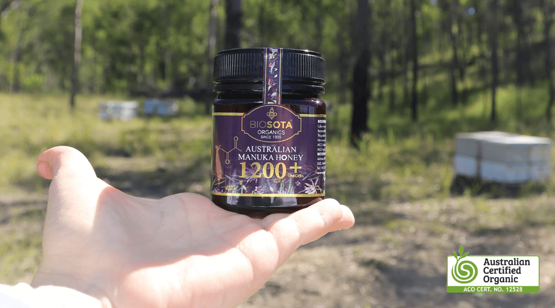 Biosota jar of Australian certified organic Manuka honey in forest