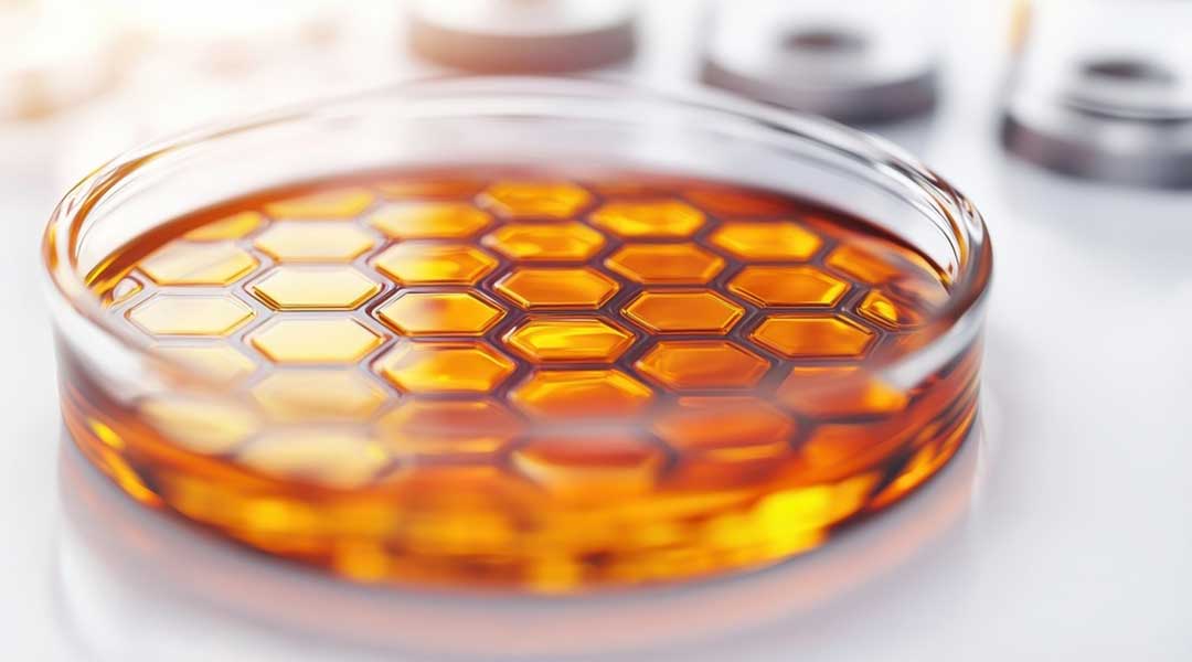 Manuka honey kills bacteria - honeycomb close-up with scientific overlay