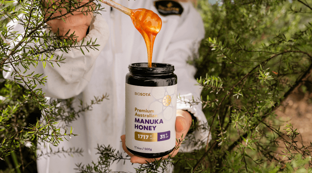 Raw Australian Manuka honey harvested from native Leptospermum flowers showing natural golden amber colour