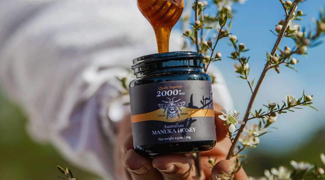 Biosota Organics World Highest Strength Manuka Honey