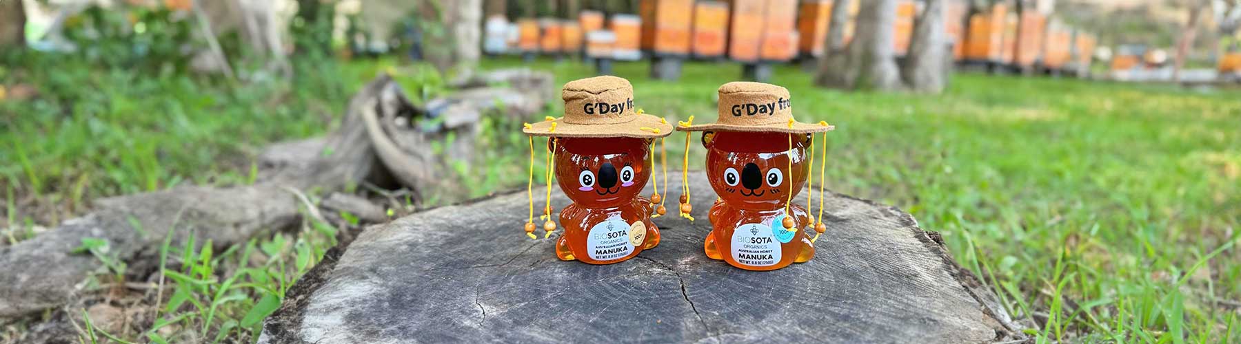 Manuka Honey Koala Bears