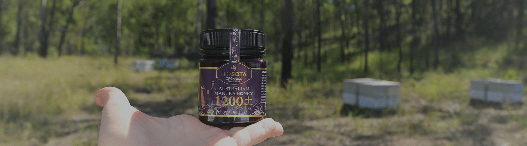 Biosota Organics Manuka Honey MGO 1200