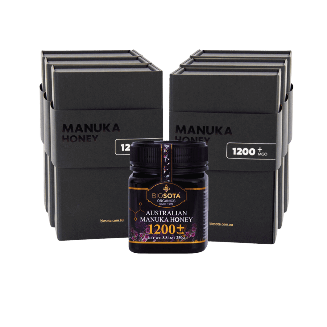 Manuka Honey MGO 1200 250g Gift Box Value Pack Corporate Gift Luxury Gift