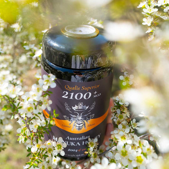 World's Highest Manuka Honey MGO 2100+