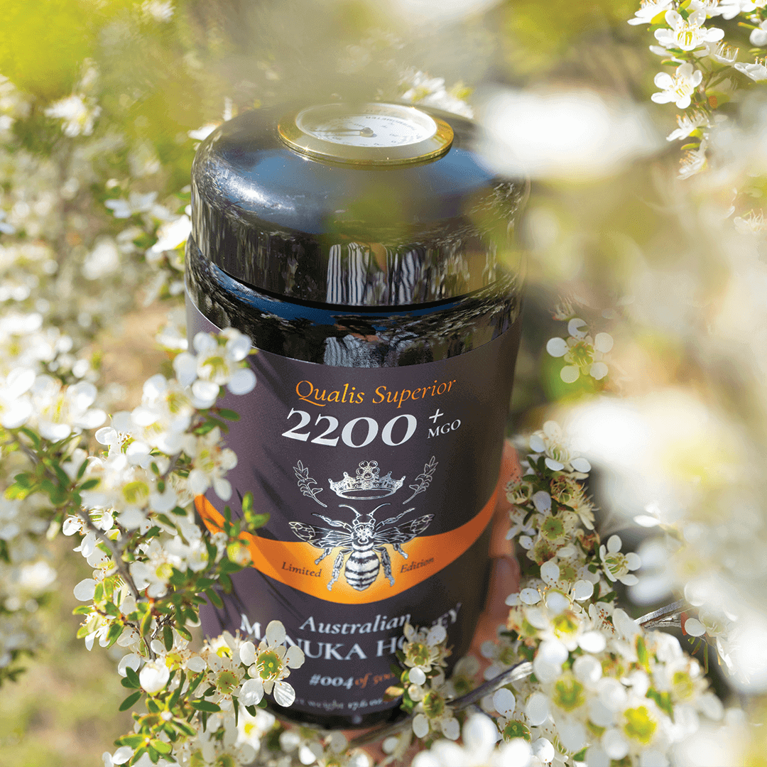 Jar MGO 2200+ Australian Manuka Honey with tempeture lid surrounded by flowers