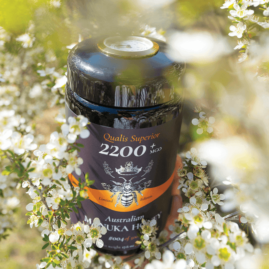 Jar MGO 2200+ Australian Manuka Honey with tempeture lid surrounded by flowers