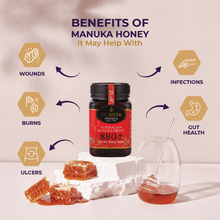 Load image into Gallery viewer, Manuka Honey Profile MGO 880+