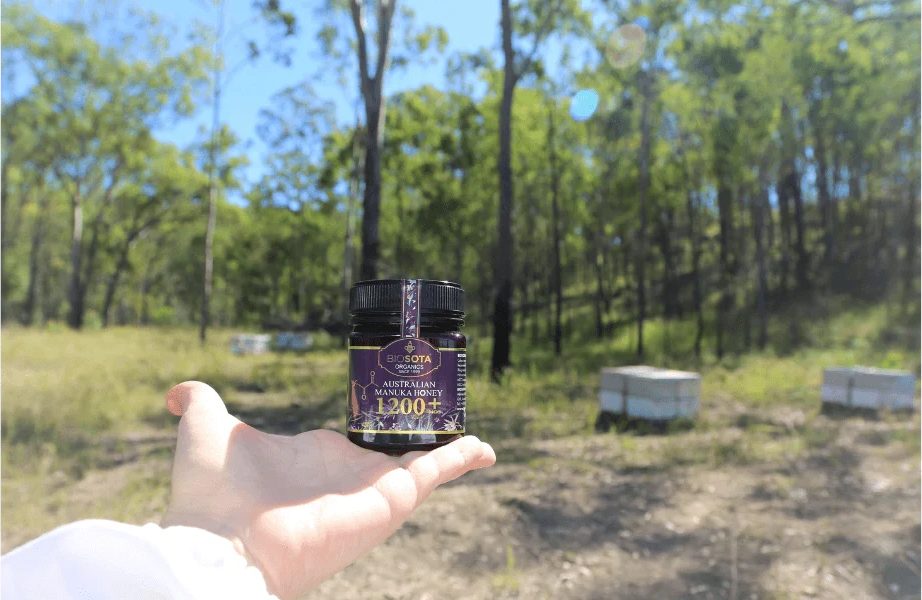 Certified organic Biosota Australian Manuka honey MGO 1200+ held up near the hives