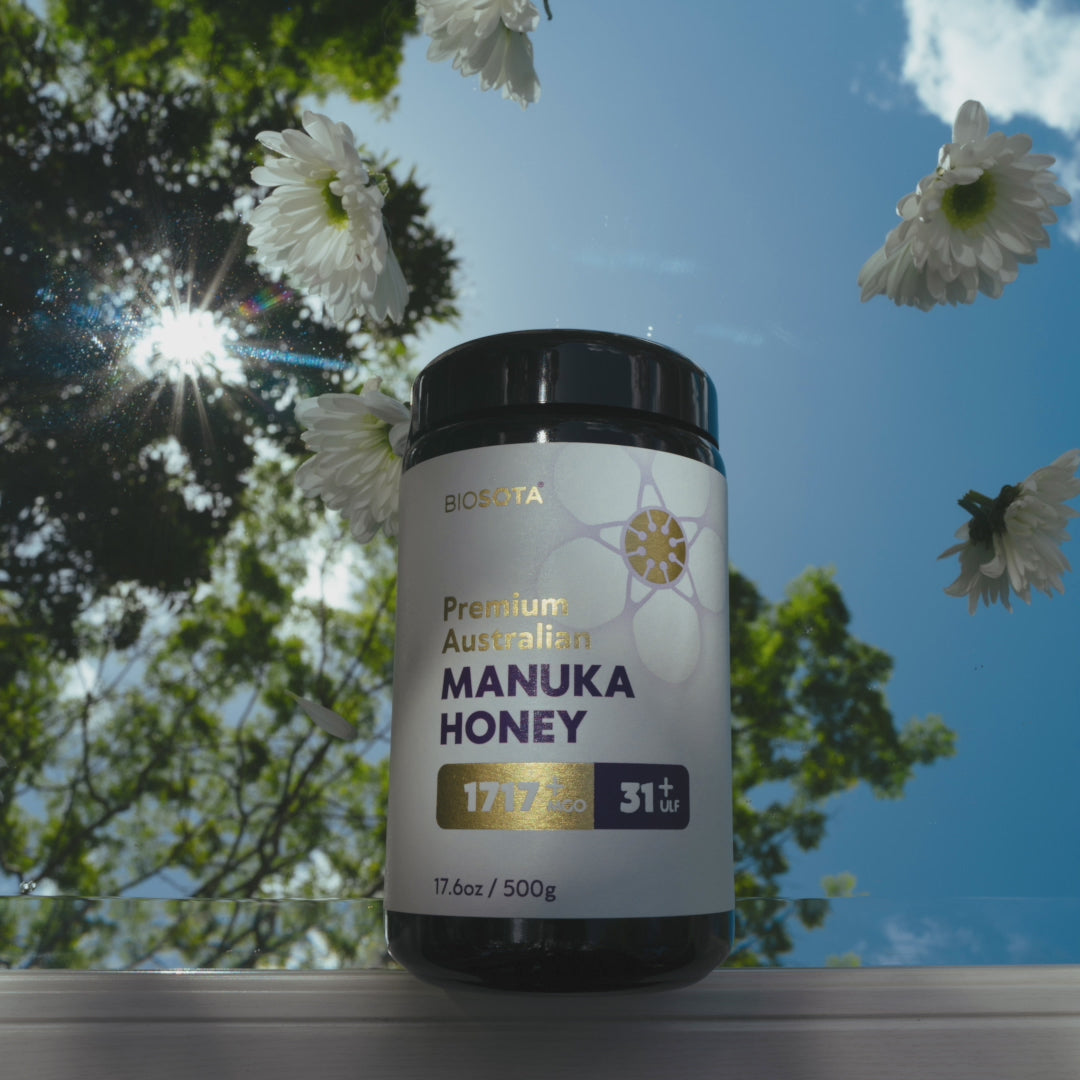 GIFT BOX - Manuka Honey MGO 1717+ (NPA 31+) | Violetglass Jar