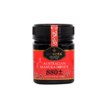 Load image into Gallery viewer, Manuka Honey MGO 880+ (NPA 20+) 250g luxury gifts corporate gifts