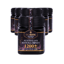 Load image into Gallery viewer, Manuka Honey MGO 1200+ 250g Value Pack