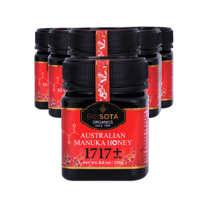 Medicinal Manuka Honey MGO 1717+ 250g value pack