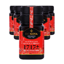 Load image into Gallery viewer, Medicinal Manuka Honey MGO 1717+ 500g value pack