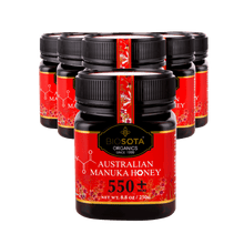 Load image into Gallery viewer, Manuka honey MGO 550+ 250g value pack