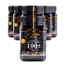 Load image into Gallery viewer, Manuka Honey MGO 100+ 500g Value Pack